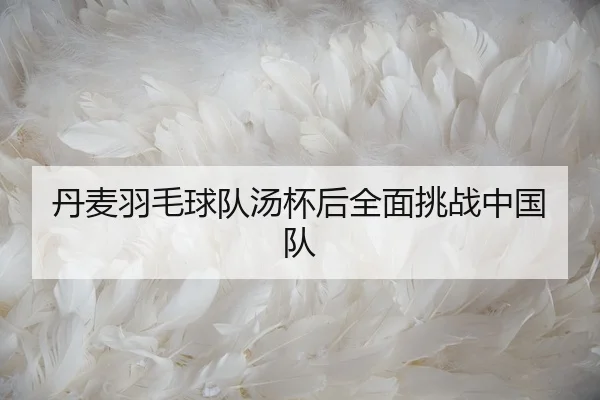 丹麦羽毛球队汤杯后全面挑战中国队